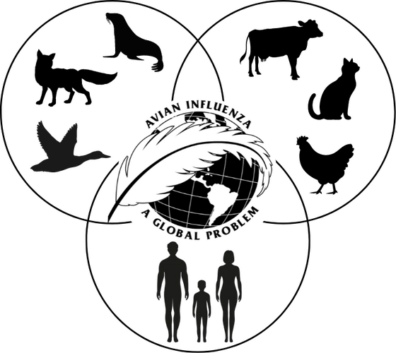11th International Symposium on Avian Influenza