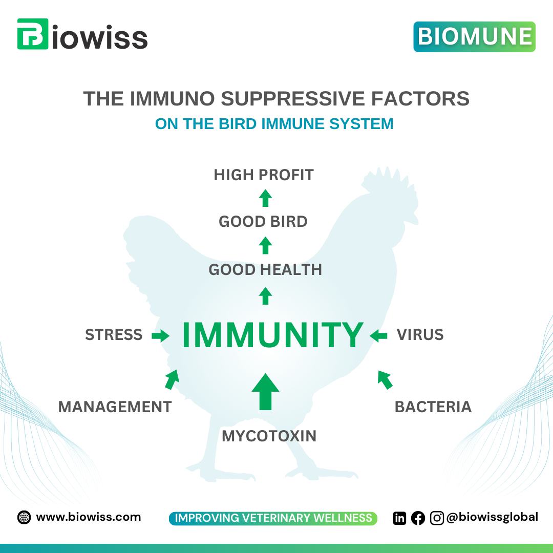 The immuno suppressive factors on the bird immune system