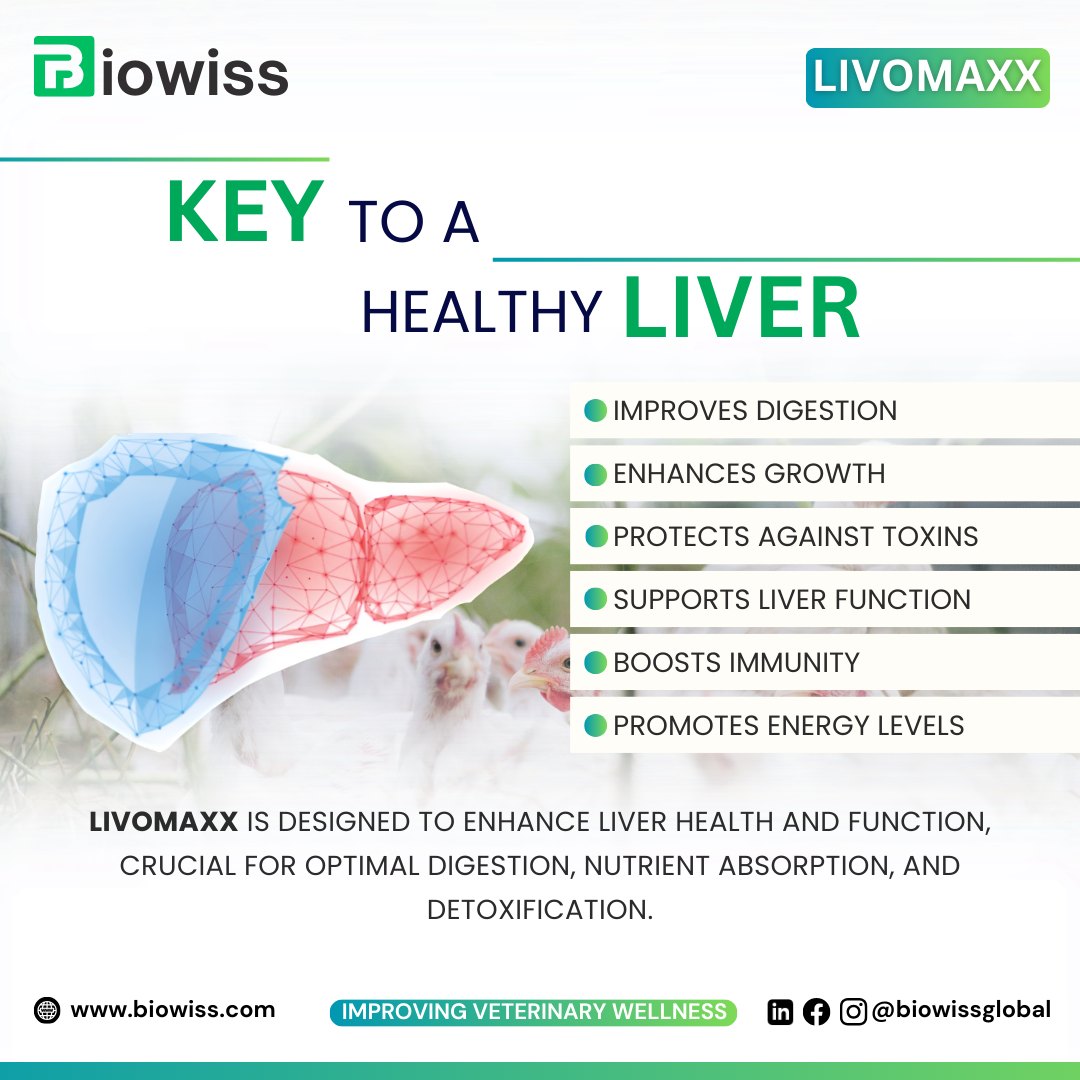 Key to a healthy liver