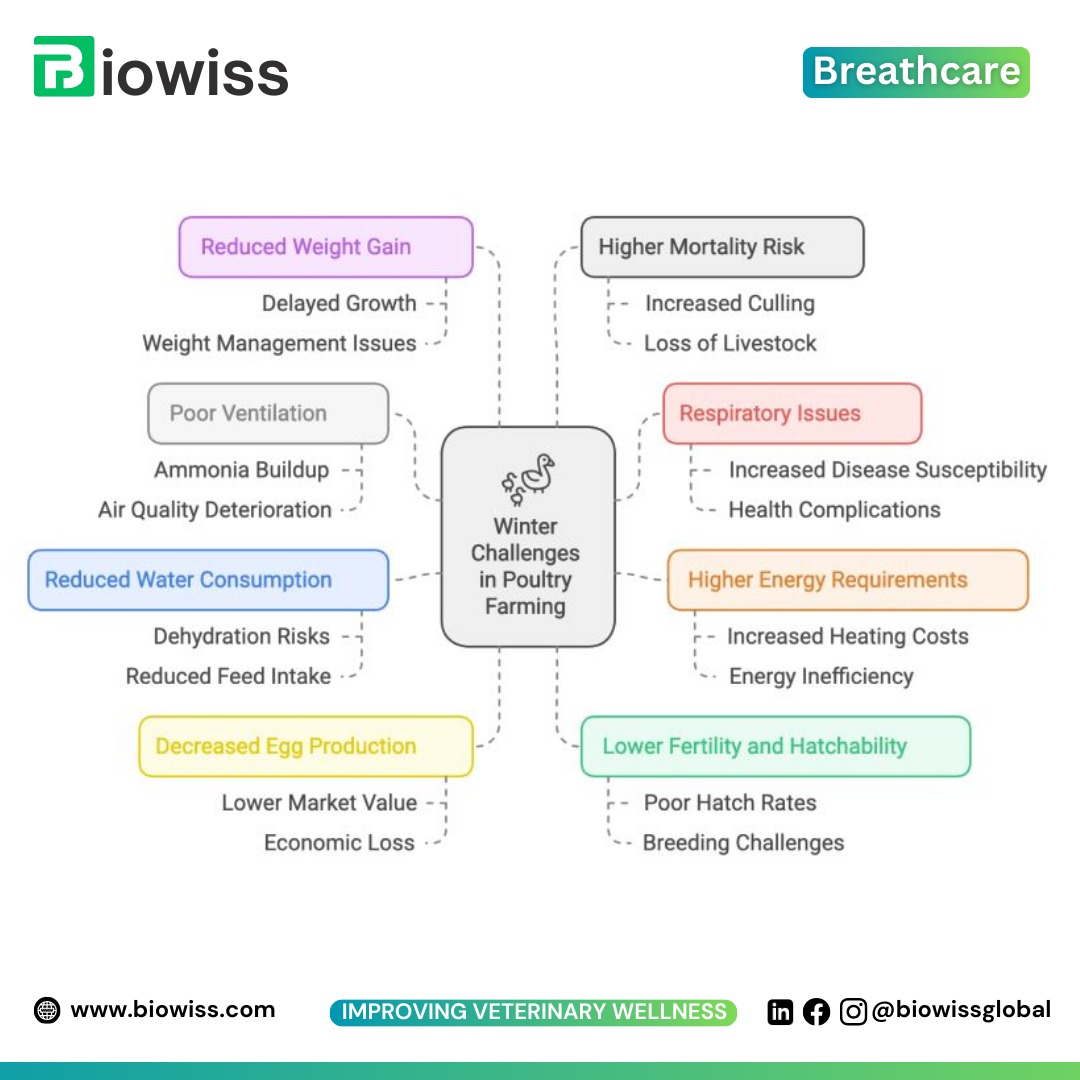 Checklist for Essential Winter Management Practices for Poultry Farming in India