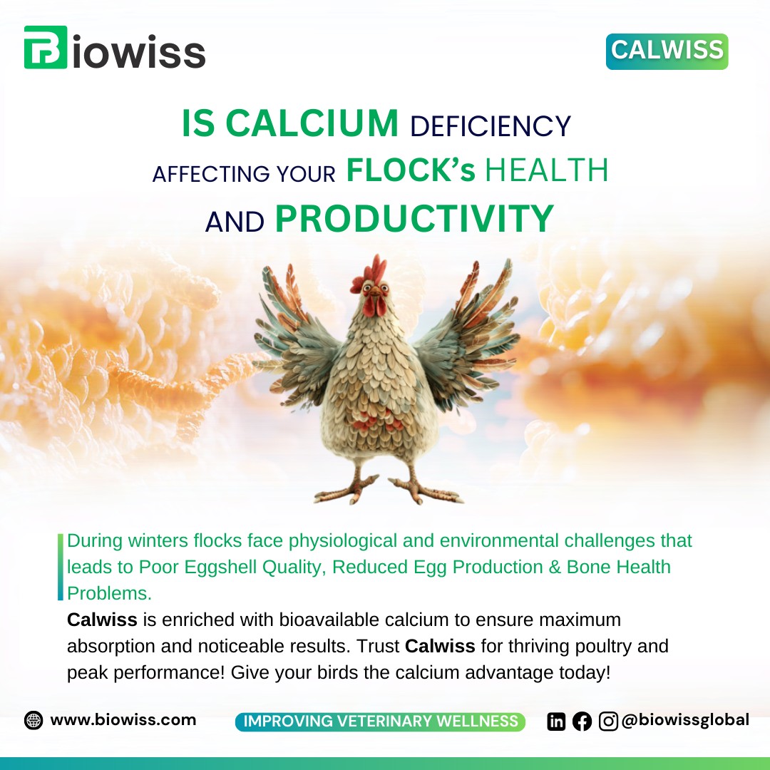 Give your birds the calcium advantage today!