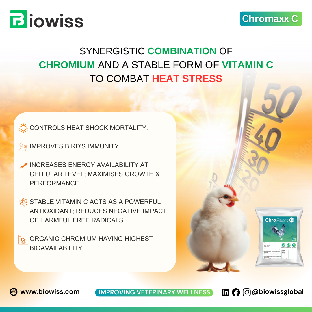 Improve resilience, hydration, and overall performance during high temperatures.